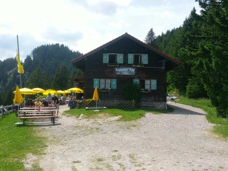Kappeler Alp Wanderungen und Rundwege komoot