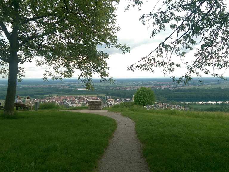 Michaelsberg Wanderungen und Rundwege komoot