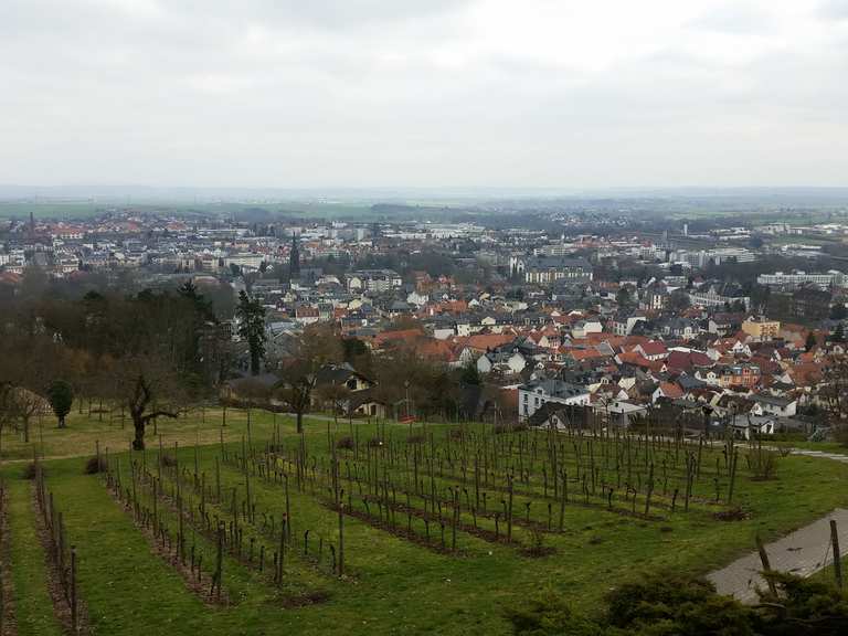Panoramablick vom Johannisberg Wanderungen und Rundwege komoot
