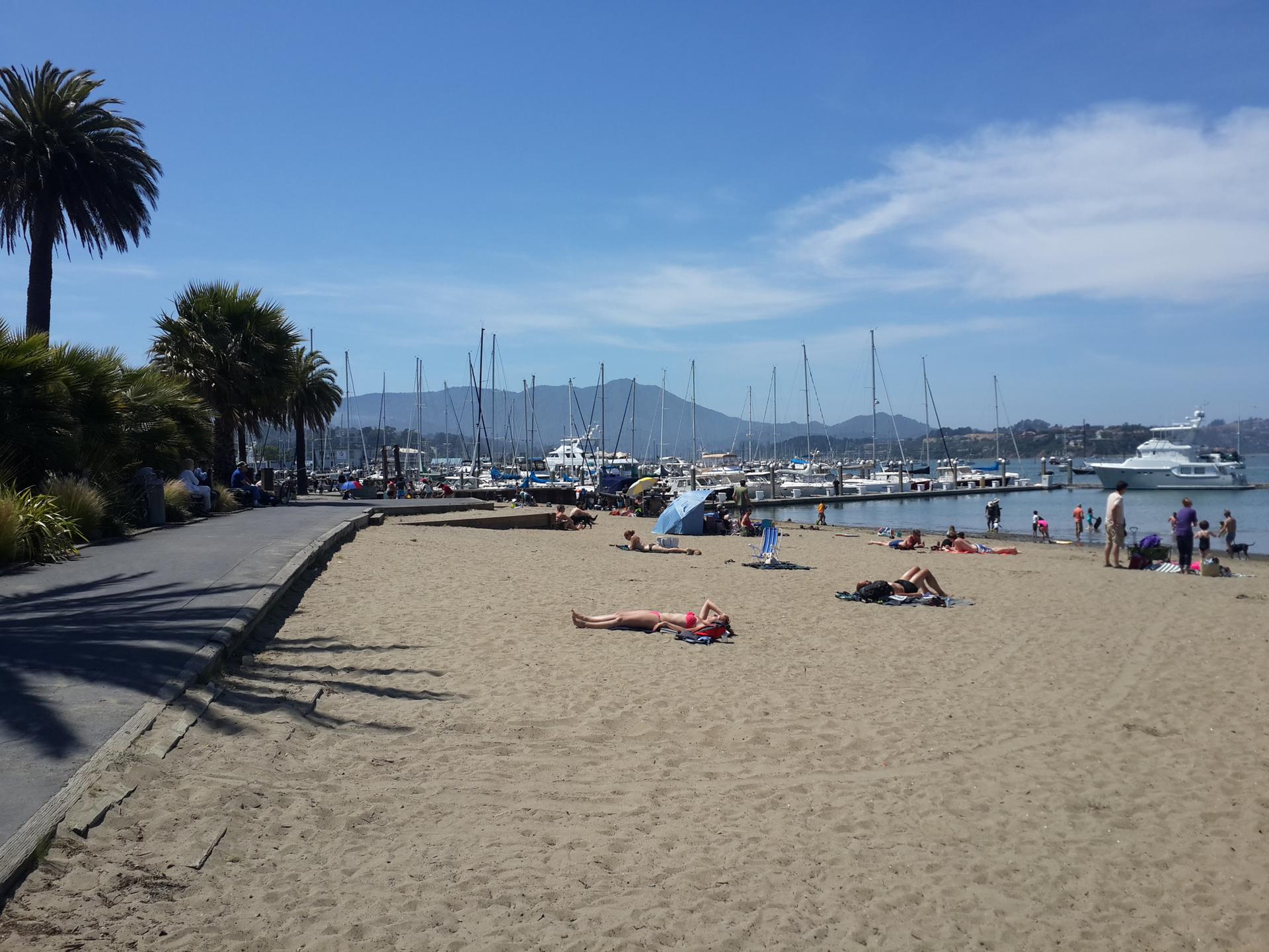 Sunny beach with people relaxing, palm trees, and a marina full of boats.
