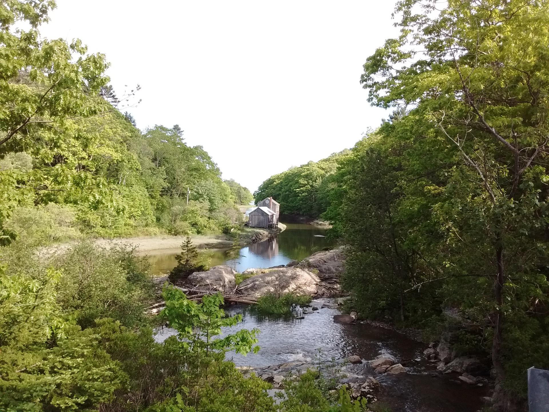 River flowing through dense green forest with an old building in the distance.