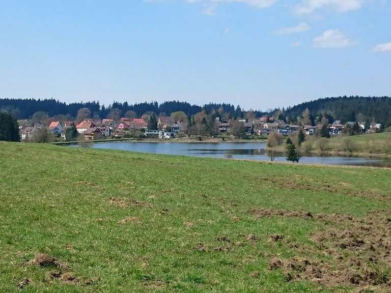 Ziegenberger Teich Wanderungen und Rundwege komoot