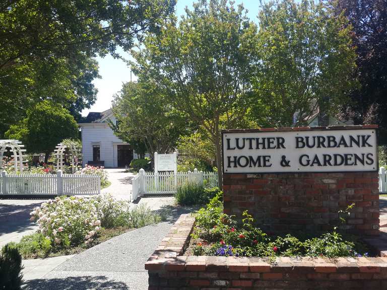 Luther Burbank Home Gardens Kalifornien Vereinigte