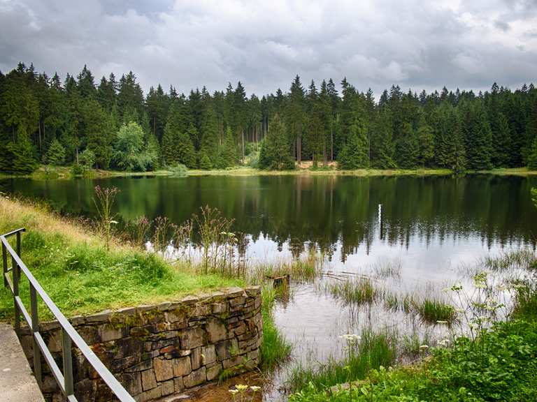 Oberer Hahnebalzer Teich (HWN 141) Wanderungen und Rundwege komoot