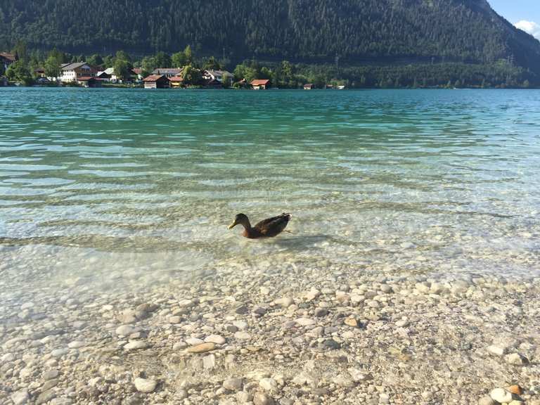 Heimgarten – Traumhafter Ausblick Runde von Walchensee | Wanderung | Komoot