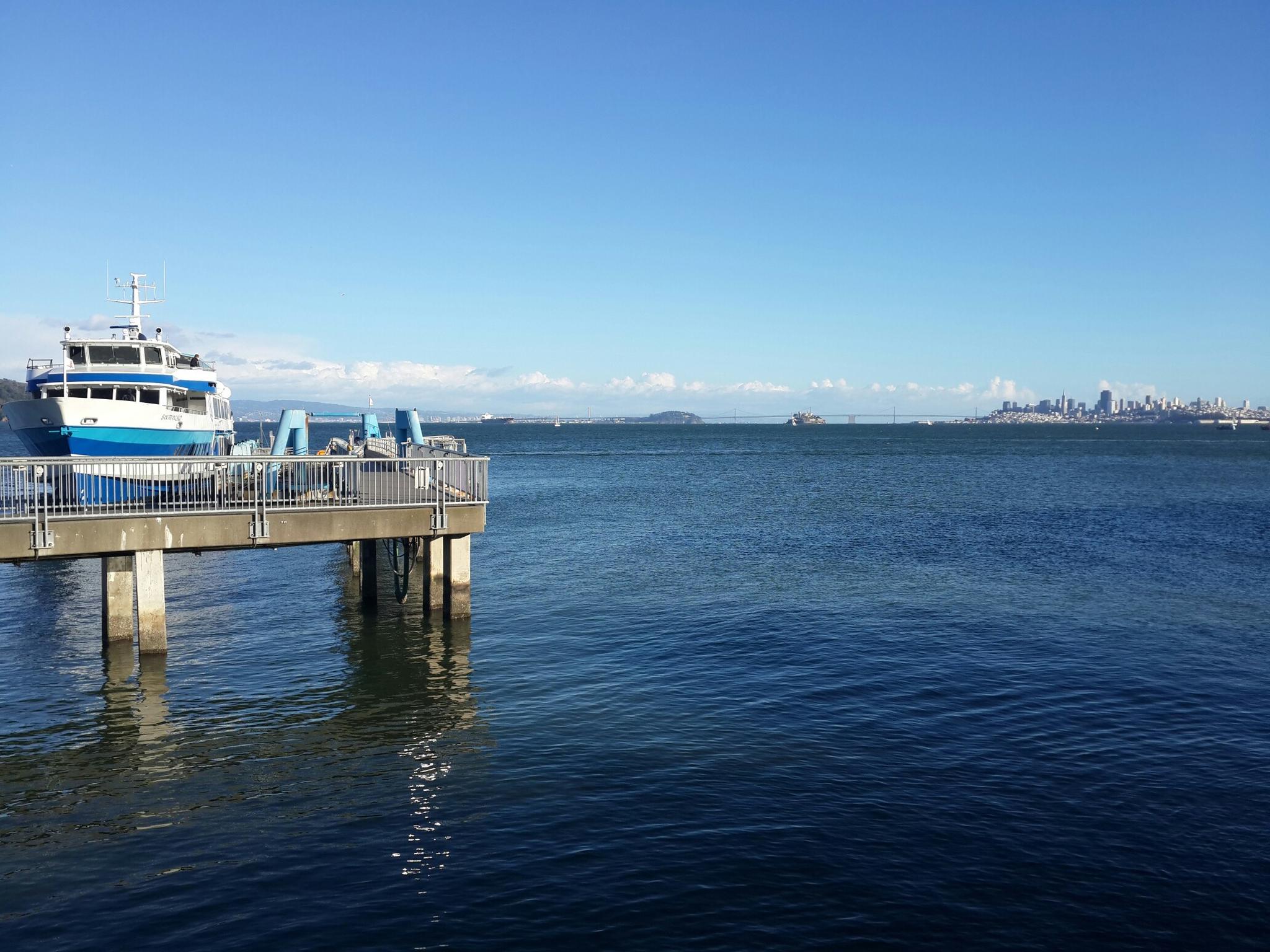 A blue and white ferry docked at a pier on calm water, clear sky.