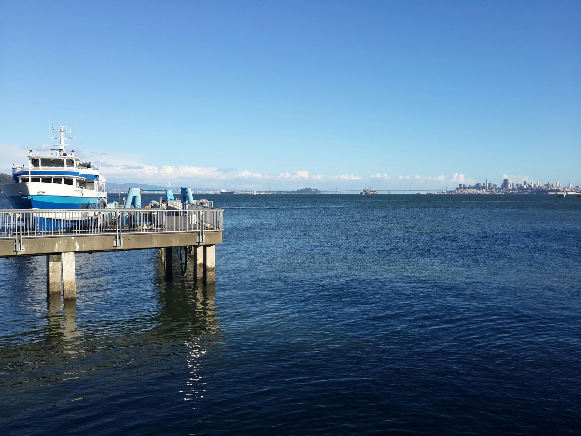 A blue and white ferry docked at a pier on calm water, clear sky.