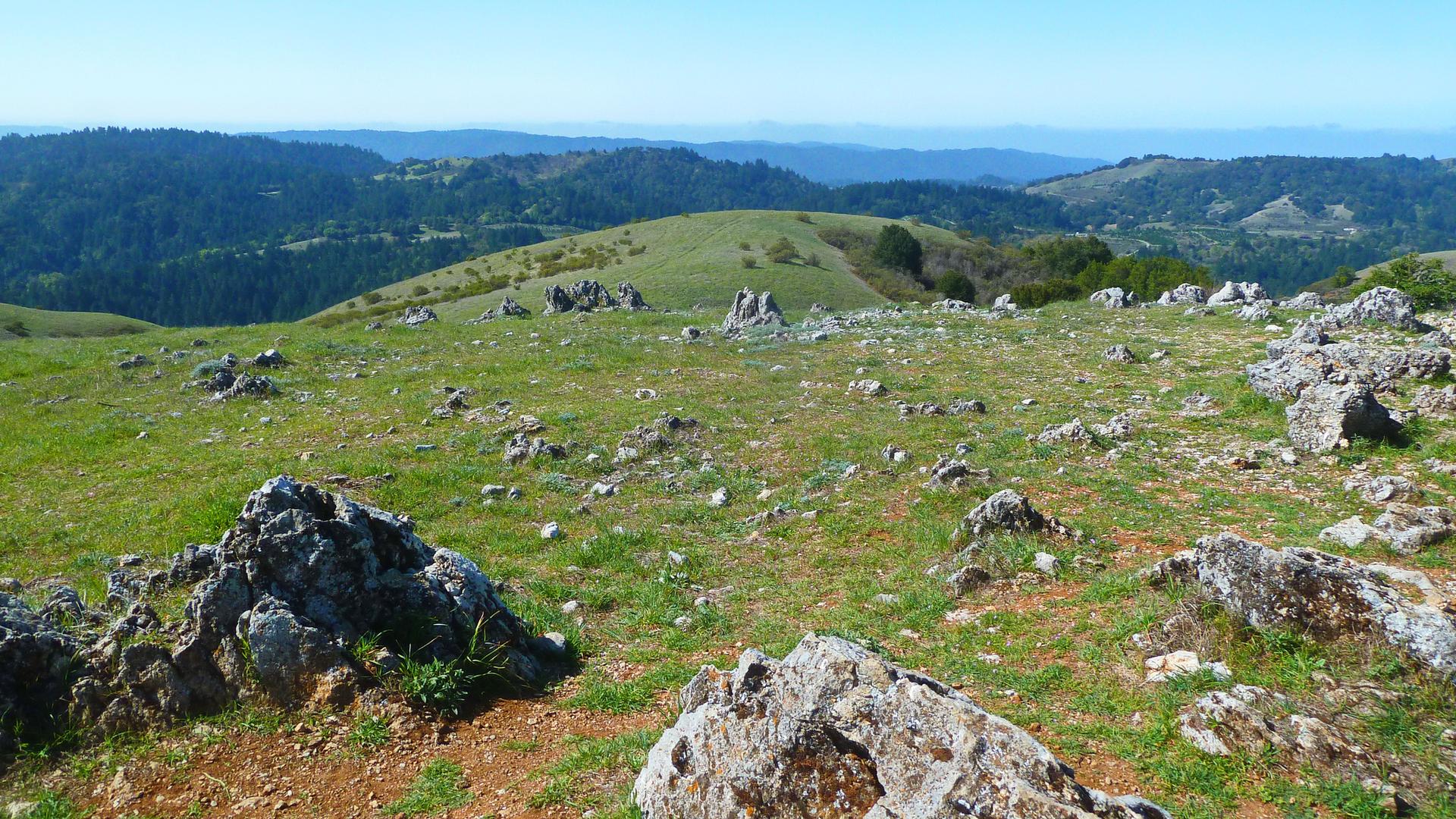 Rocky green hilltop with scattered boulders and distant forested hills.