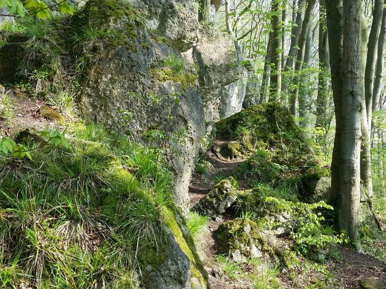 Rothesteinhöhle Routes for Walking and Hiking | Komoot