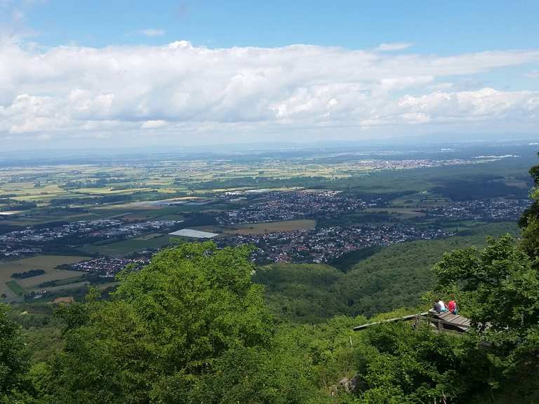 Melibokus MountainbikeTouren und Trails komoot