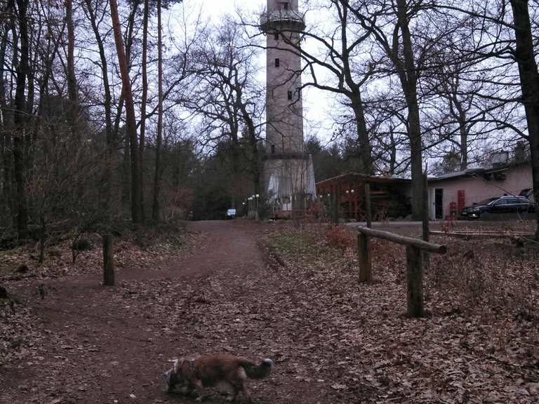 Buchberggrill Routes for Walking and Hiking | Komoot