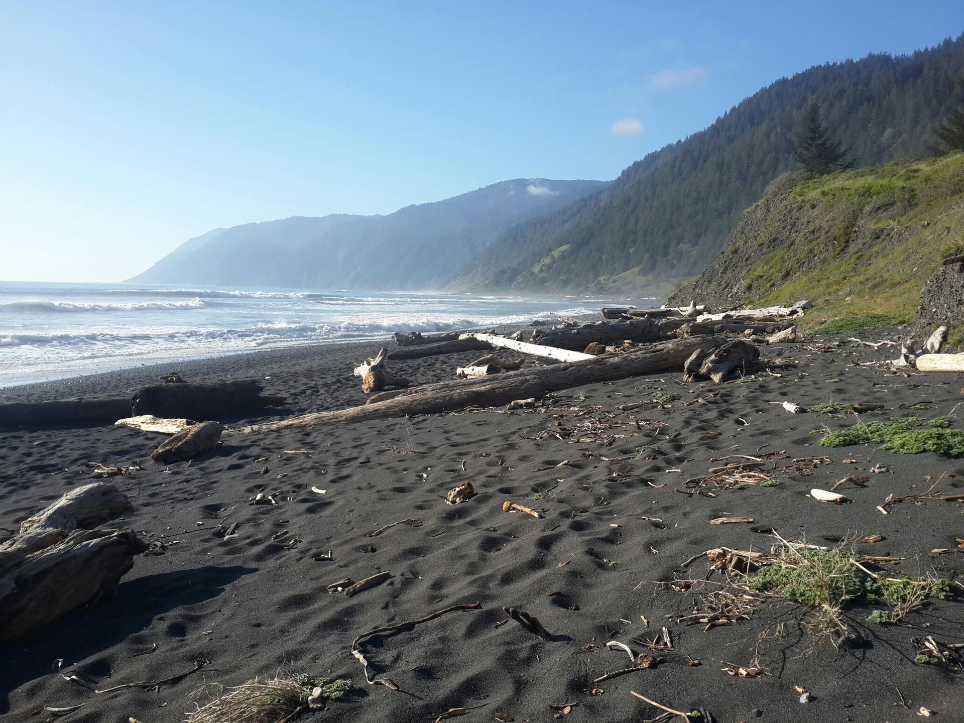 Sunny dark sandy beach with driftwood, ocean waves, and forested mountains.