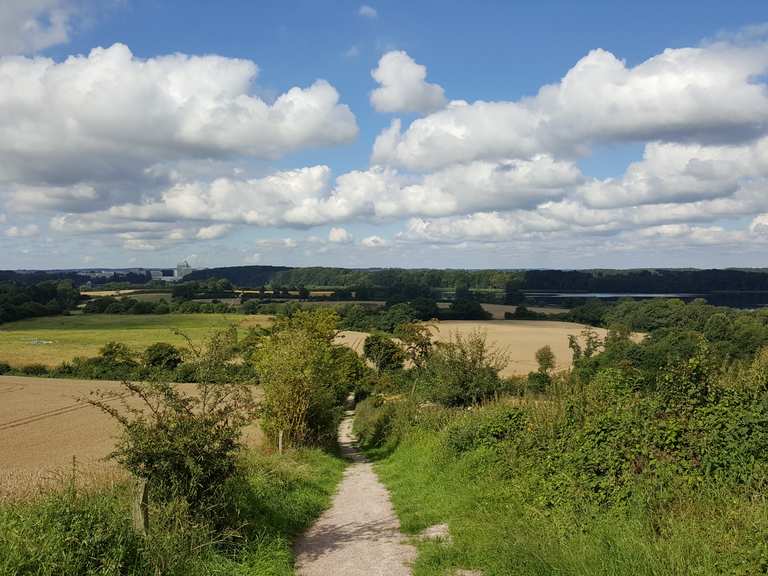 Moosberg Wanderungen und Rundwege komoot
