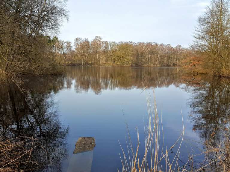 Ahlhorner Fischteiche Wanderungen und Rundwege komoot