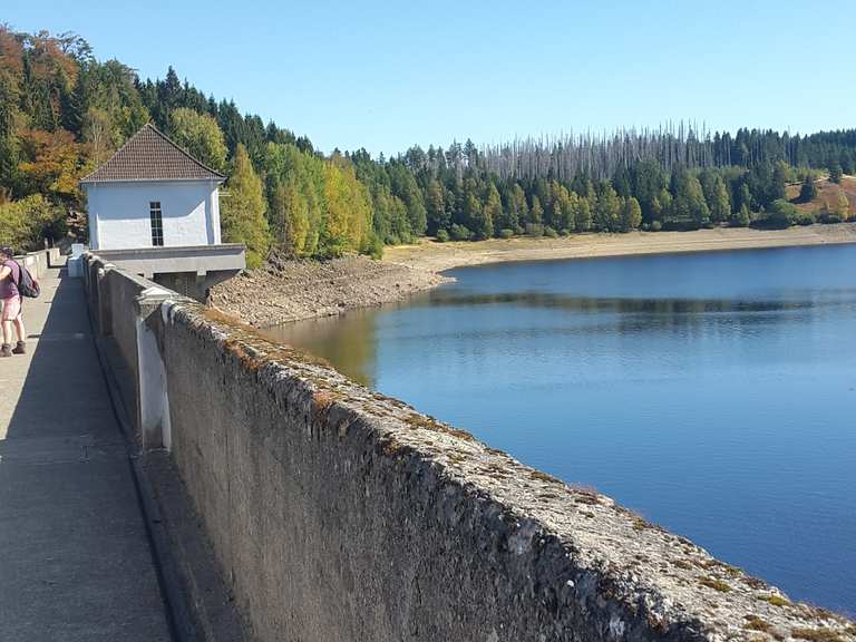 Staumauer Eckertalsperre Radtouren und Radwege komoot