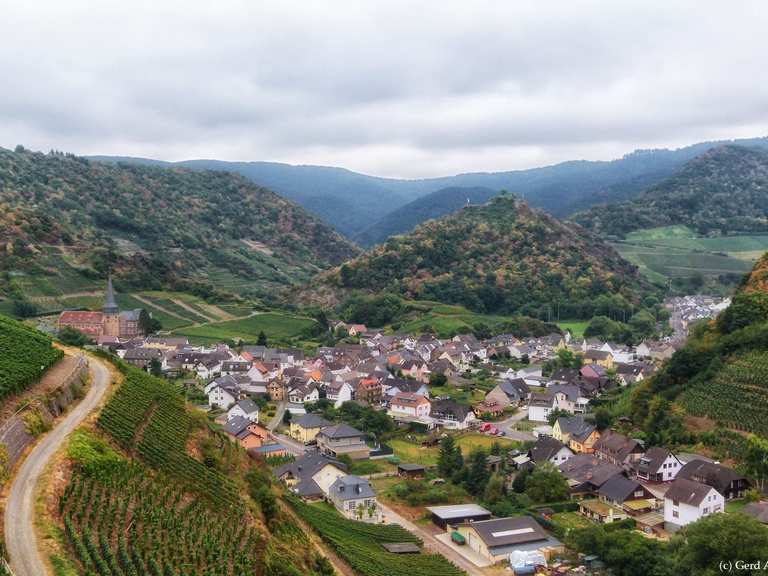 Blick auf Mayschoß Routes for Walking and Hiking | Komoot