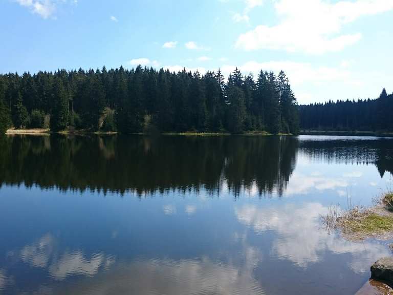 43+ Bärenbrucher Teich Angeln, Fishing spots and baits to use at