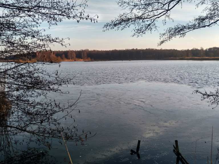 Auf dem Hüttensee Rundweg: Wanderungen und Rundwege  komoot