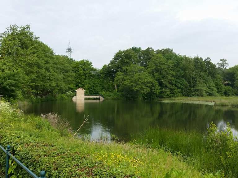 Schöner Waldweg Alte Aprather Mühle Runde von WülfrathAprath