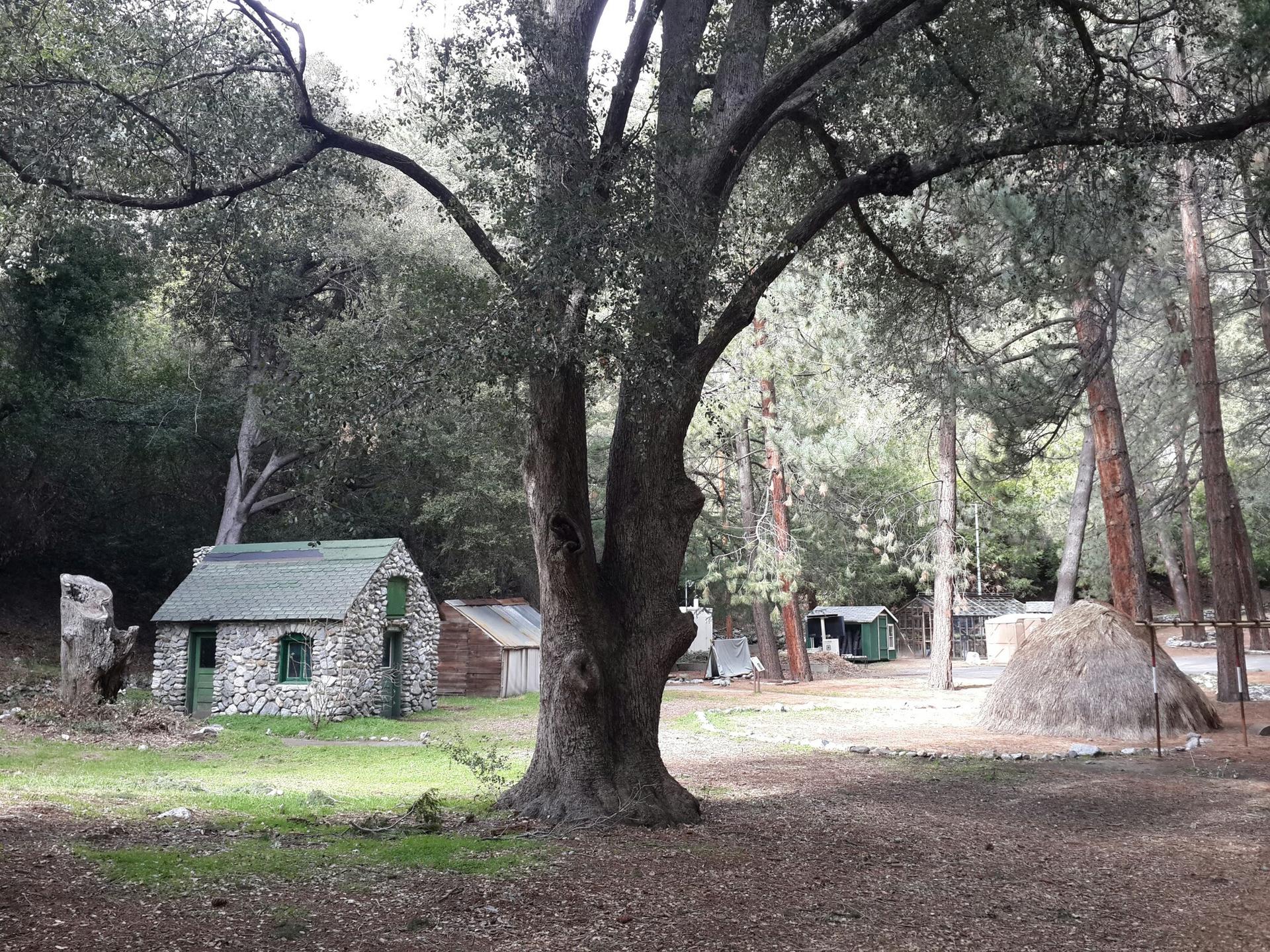 A stone cabin with a green roof in a shaded forest clearing.