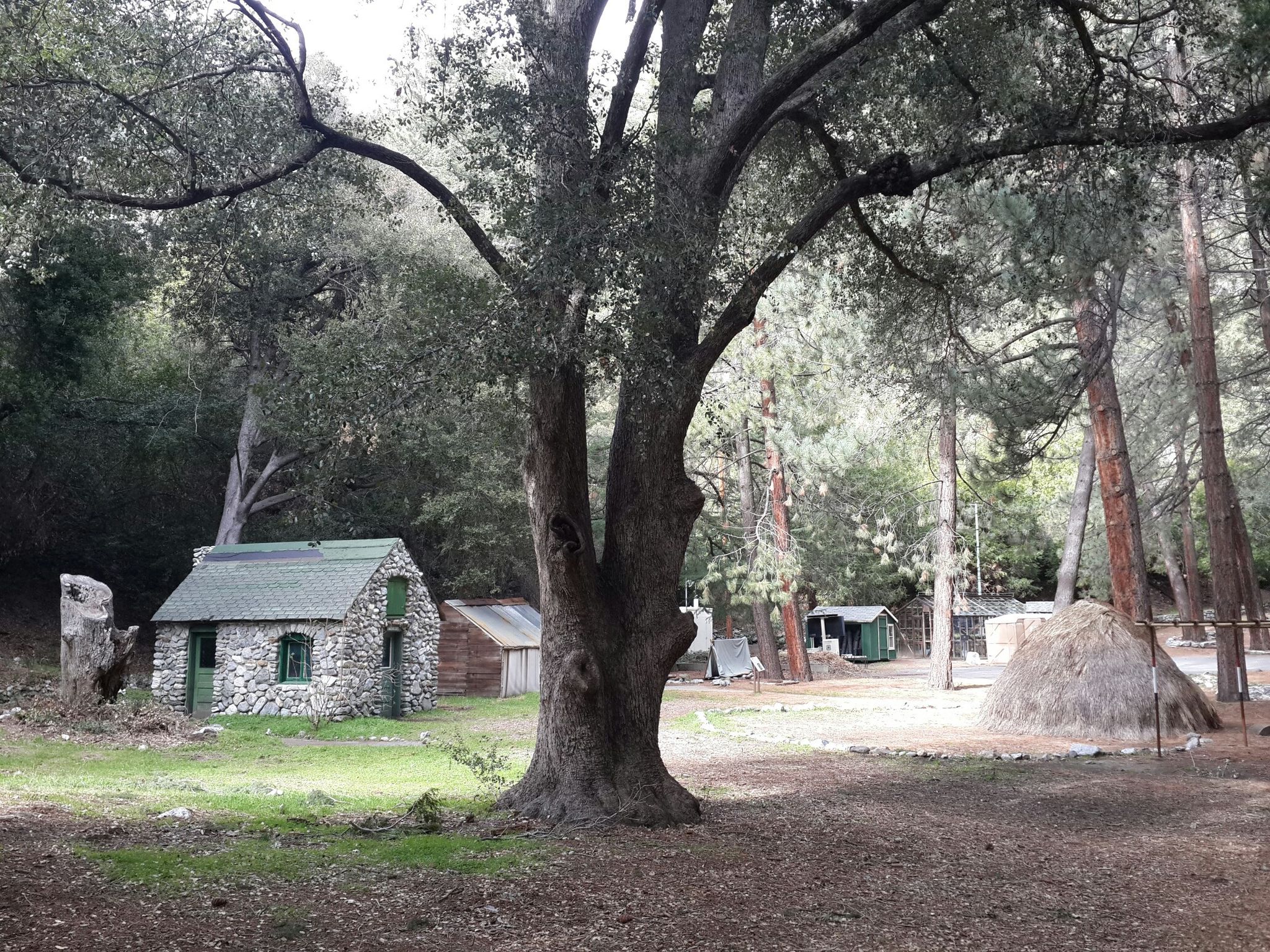 A stone cabin with a green roof in a shaded forest clearing. - Mount Baldy Cycling Route