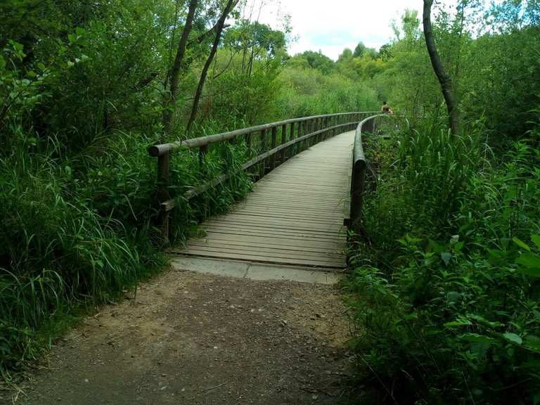 Der Holzweg Radtouren und Radwege komoot