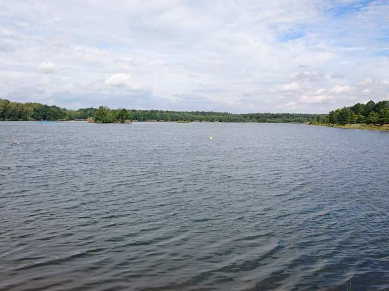Kiebitzer See Falkenberg Wanderungen und Rundwege komoot