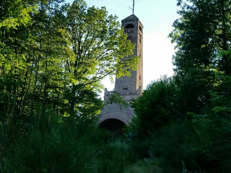 Bismarckturm Kallstadt Bad Durkheim Wandertipps Fotos Komoot