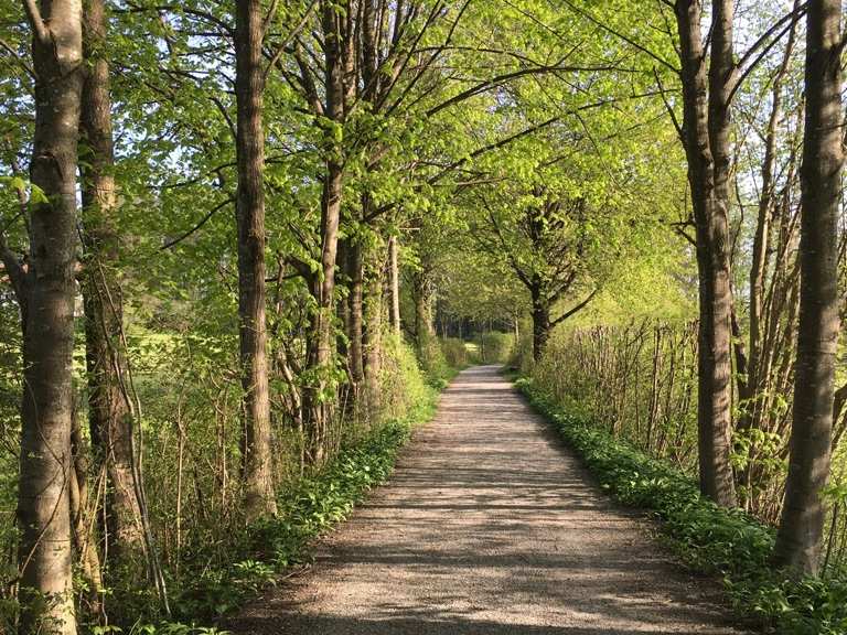 Drei Linden - St. Margarethen Runde von Brannenburg ...