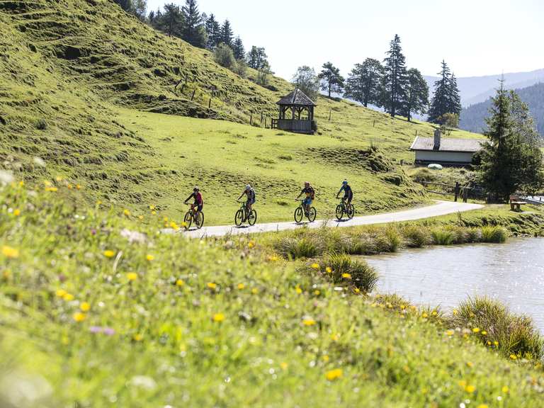 Grießensee - Mountain Bike Trails & Tracks | Komoot