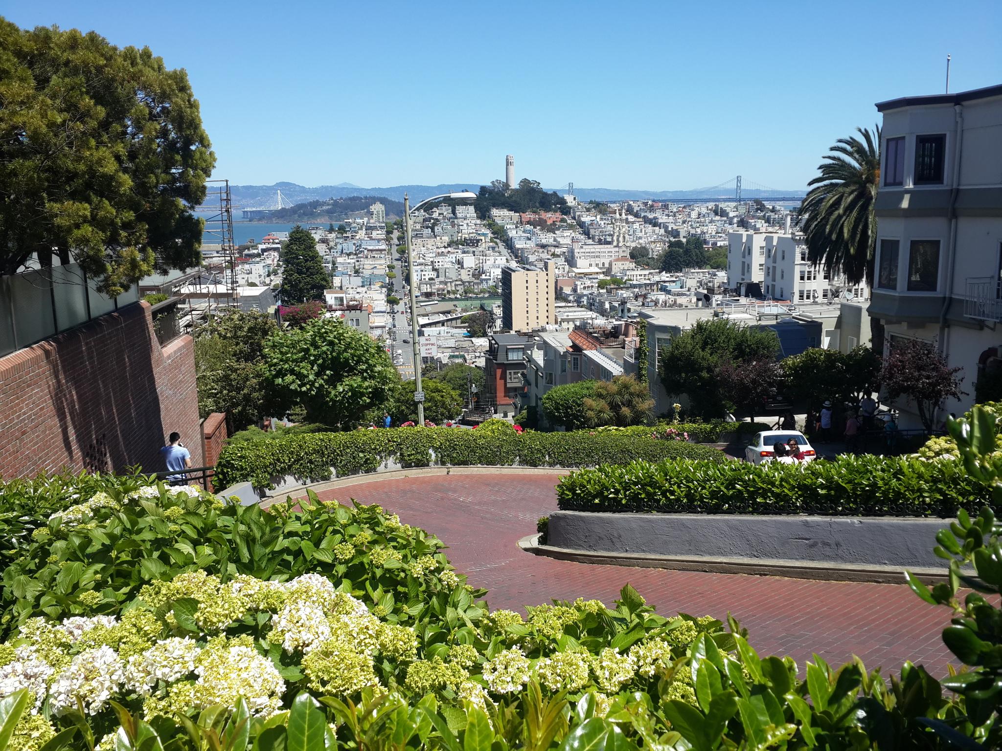 Winding brick street with lush green hedges, city buildings, and distant water.
