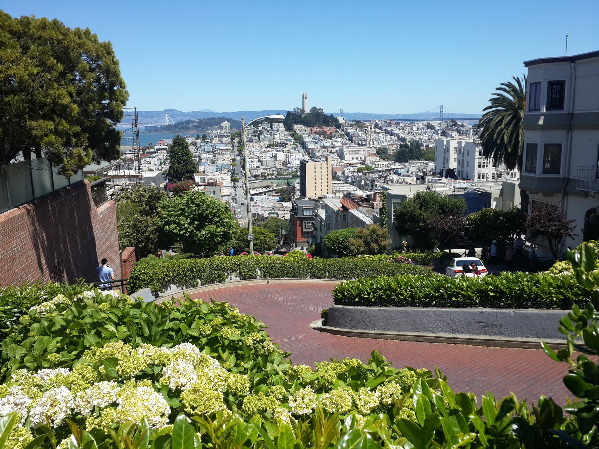 Winding brick street with lush green hedges, city buildings, and distant water.