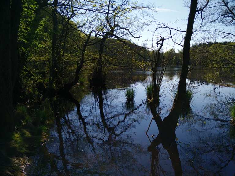 Herthasee Sassnitz Rugen Wandertipps Fotos Komoot