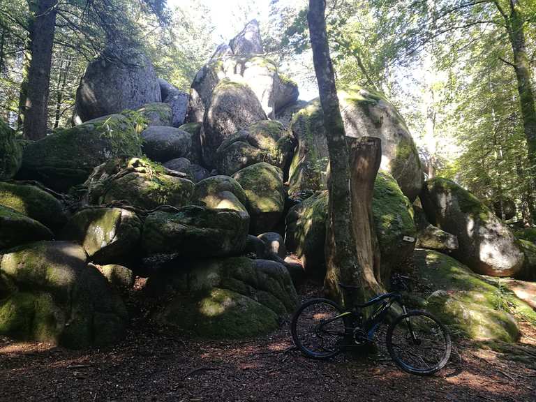 Günterfelsen MountainbikeTouren und Trails komoot