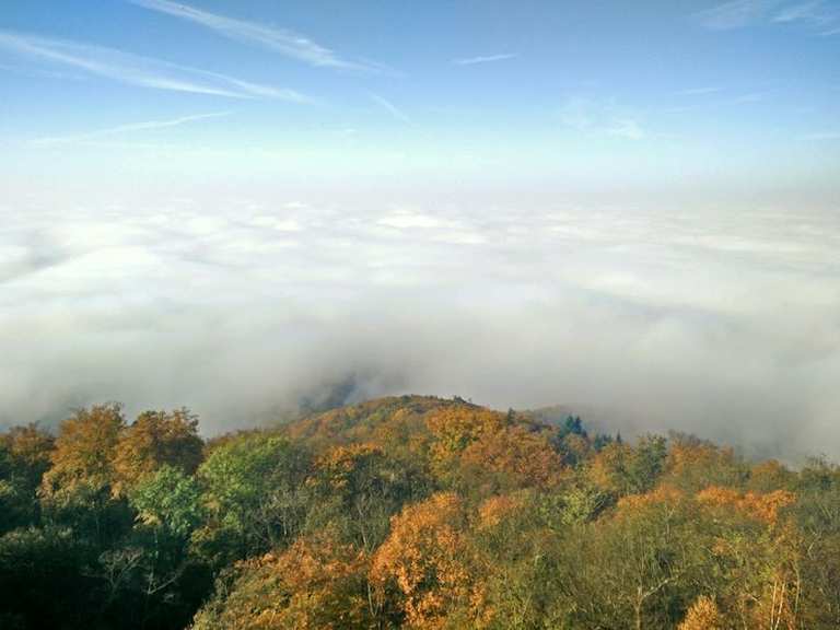 Melibokus Wanderungen und Rundwege komoot