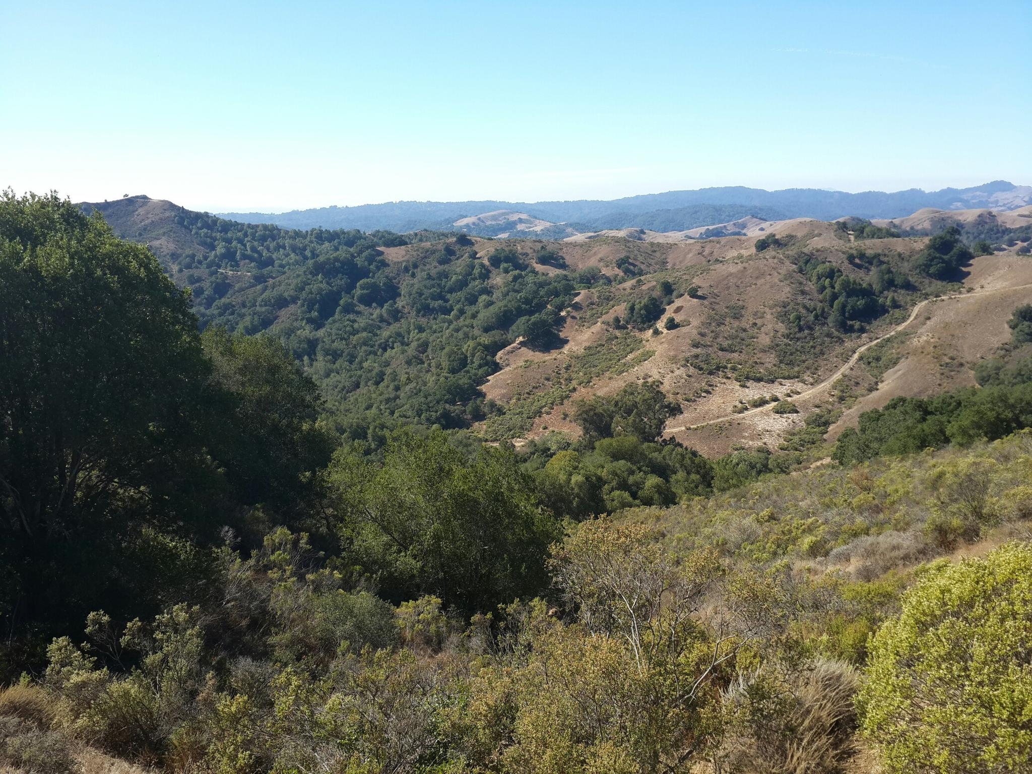 A valley with dry hills and green trees under a clear blue sky.
