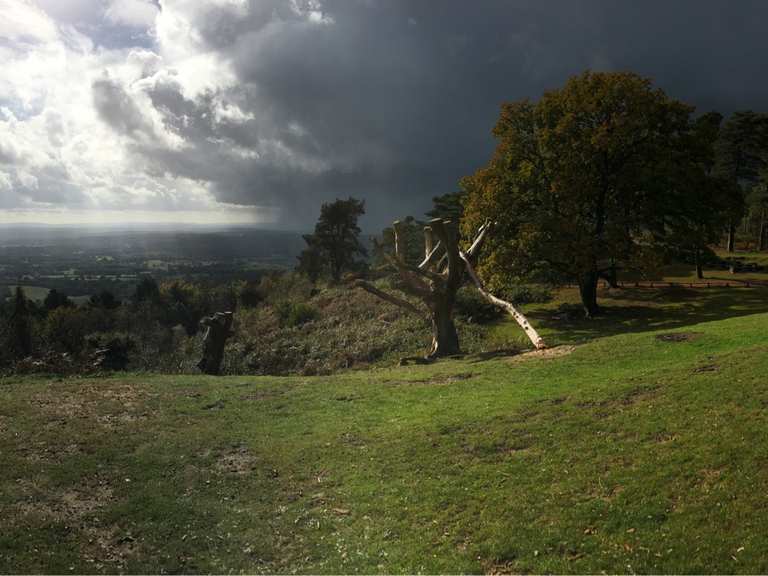 Leith Hill Routes for Walking and Hiking Komoot