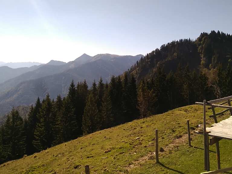 Piesenhausener Hochalm Wanderungen und Rundwege komoot