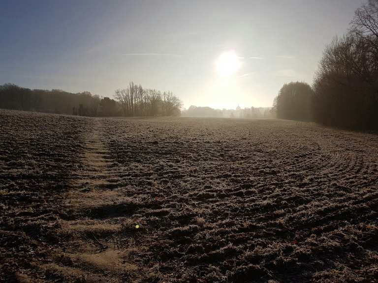 Düsterer Teich Wanderungen und Rundwege komoot