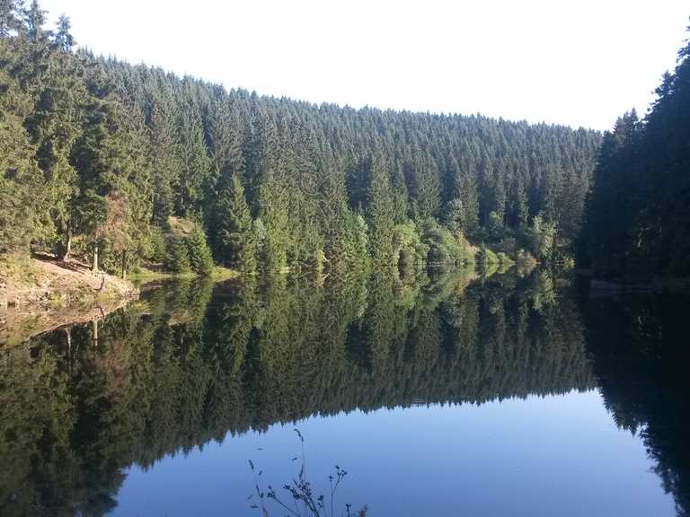 Grumbacher Teich (HWN 113) Harz, SachsenAnhalt Wandertipps & Fotos