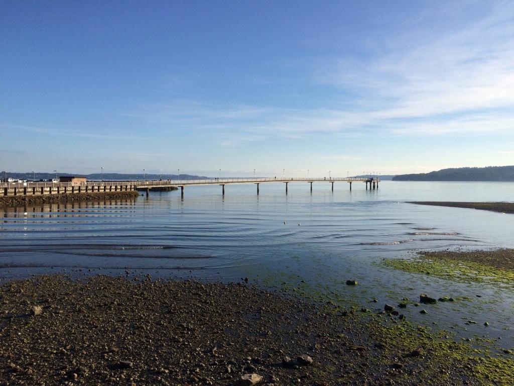 Long pier stretching over calm water under a bright blue sky.