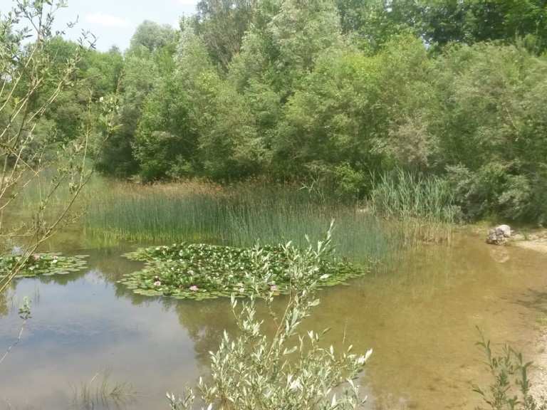 Landschaftssee Allacher Lohe Wanderungen und Rundwege