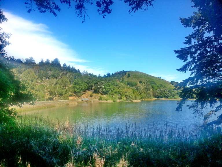 Mt Tam Watershed East Loop Phoenix Lake Lake Lagunitas Eldridge Grade Indian Fire Road 🚵