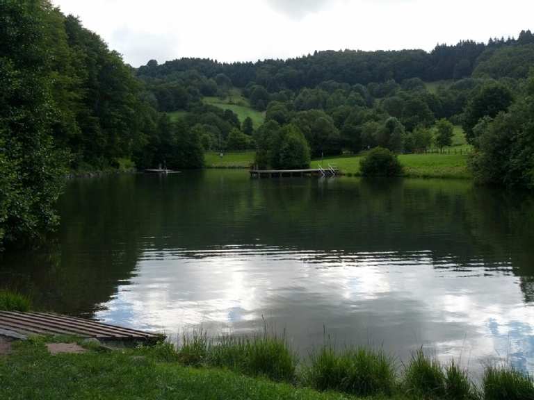 Guckaisee Wanderungen und Rundwege komoot