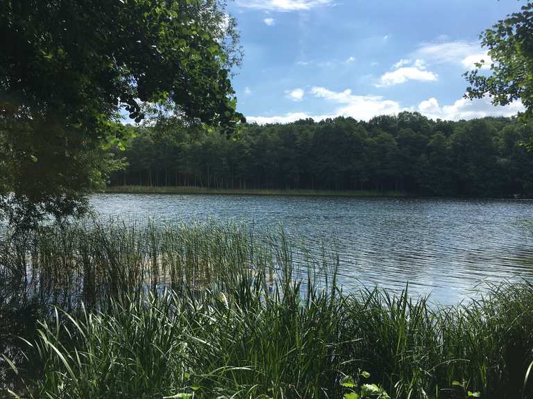 Grunewaldsee Wanderungen und Rundwege komoot