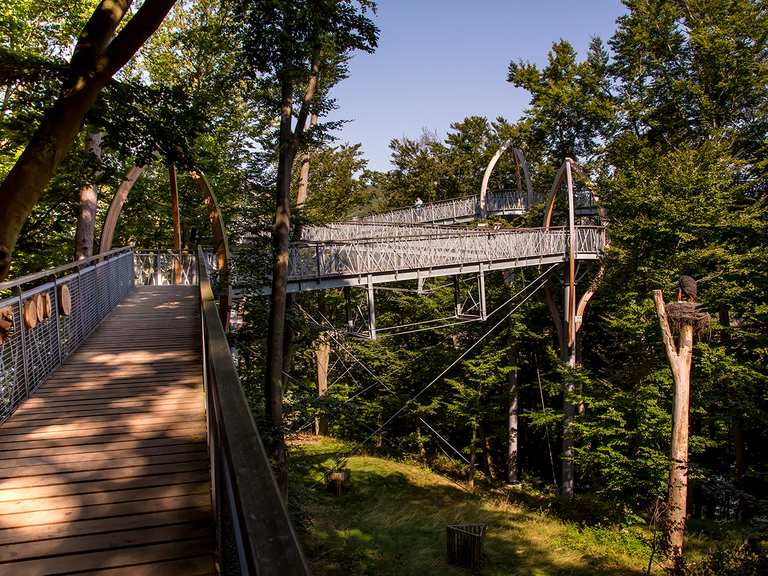 treetopwalk-baumkronenpfad-edersee-wandelroutes-en-hikes-komoot