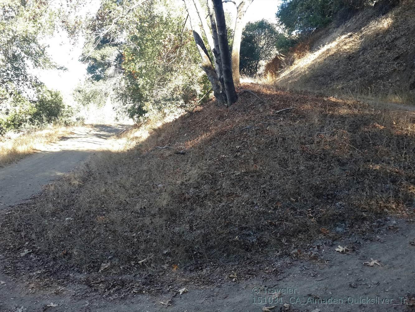 A sunlit dirt path curves past a dry, grassy hillside with trees.