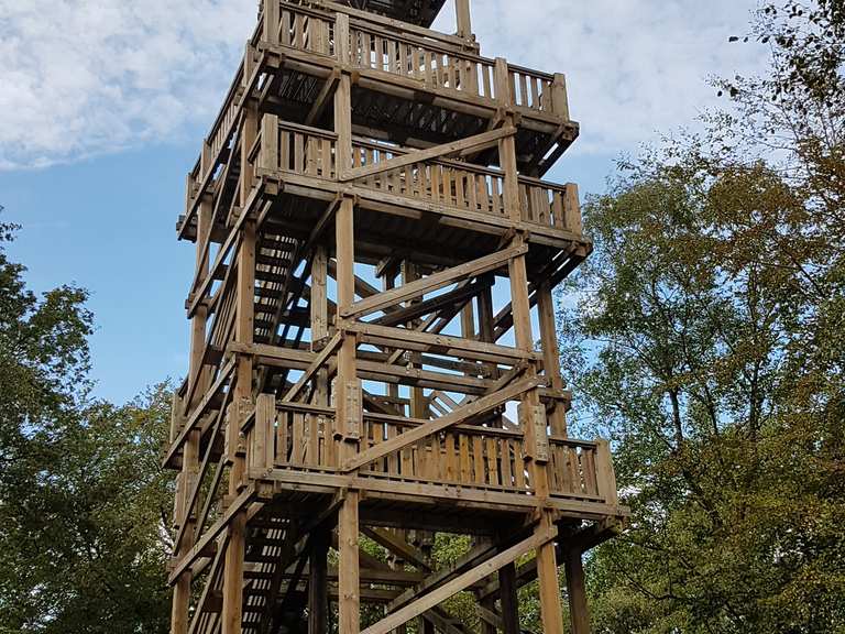 Aussichtsturm Taubenberg – Wander- & Radrouten | Komoot
