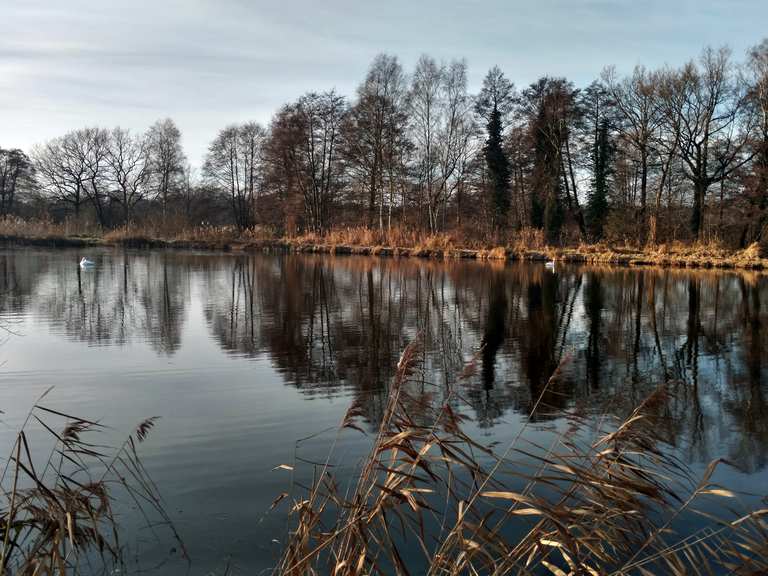 Meißendorfer Teiche Wanderung Komoot