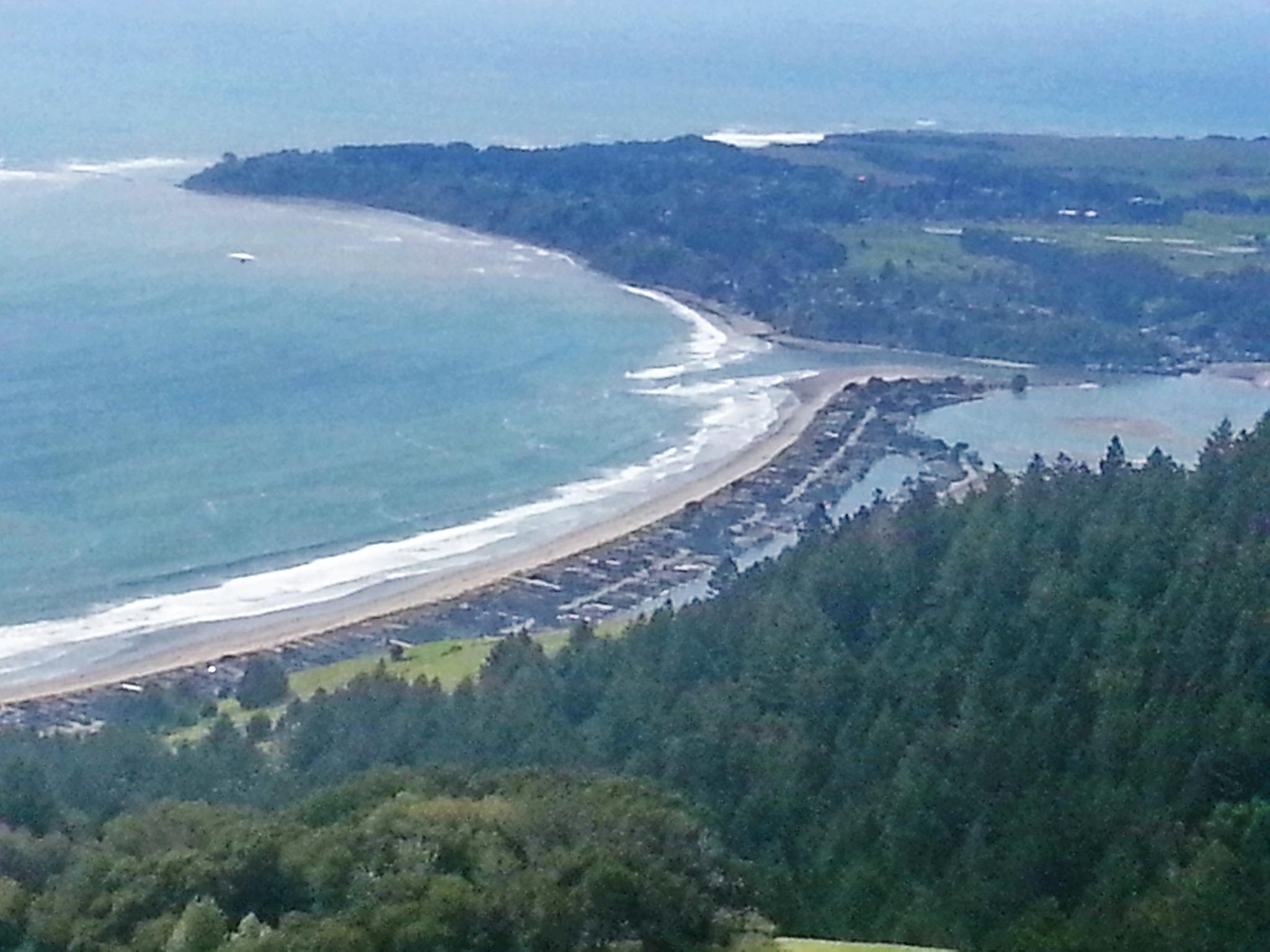 High angle view of a long sandy beach, ocean, and forested coastline.